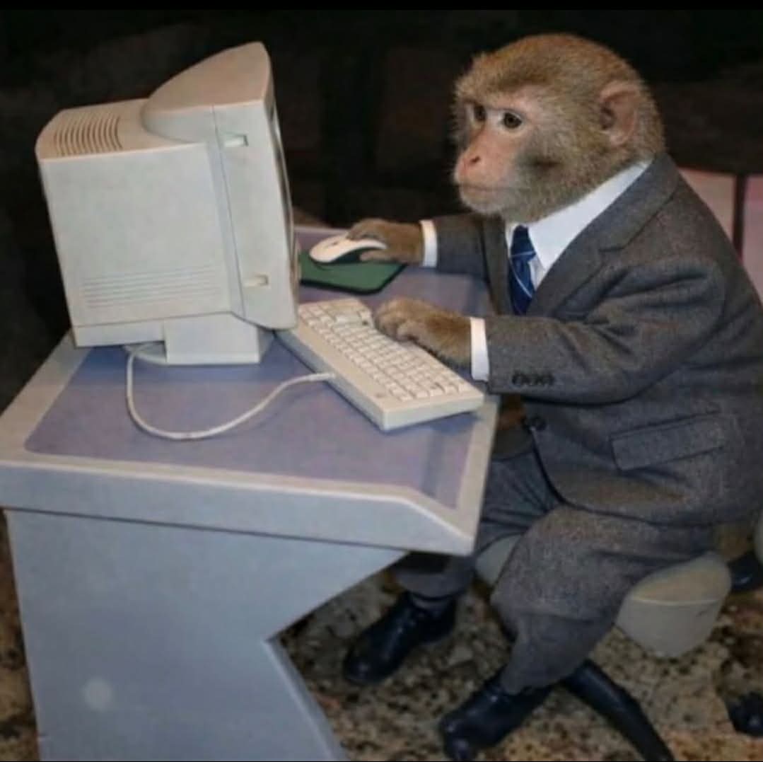 Cool Productive office working, handsome Monkey for sale